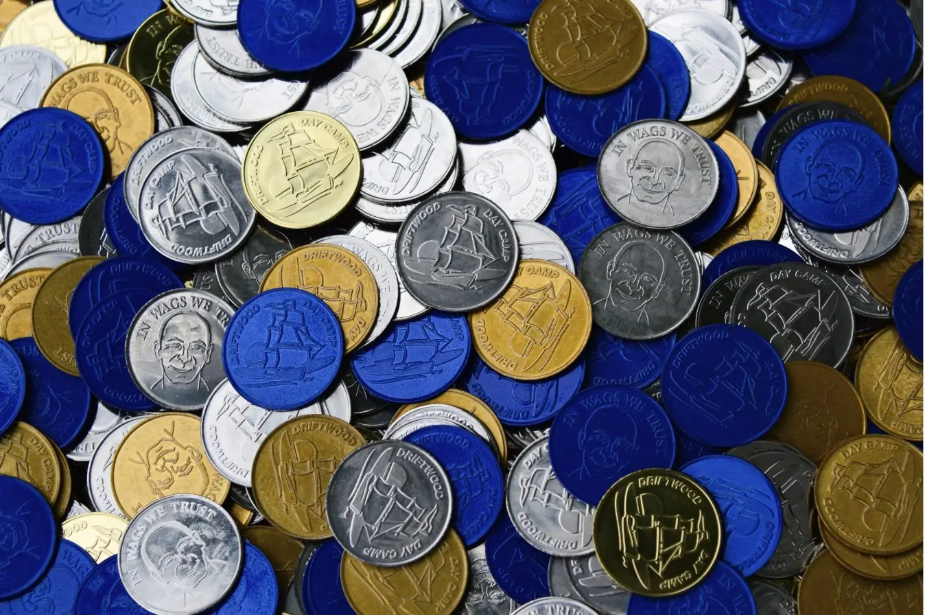 Blue, gold and silver Driftwood Waggie coins